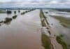 Inundaciones en Santa Fe: en solo 4 meses cayó la lluvia de todo un año y algunas zonas ya superaron los 1.100 mm Campo anegado con canal desbordado en zona rural de Santa Fe tras intensas lluvias