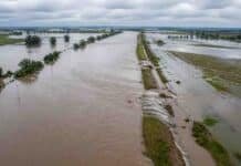 Inundaciones en Santa Fe: en solo 4 meses cayó la lluvia de todo un año y algunas zonas ya superaron los 1.100 mm Campo anegado con canal desbordado en zona rural de Santa Fe tras intensas lluvias