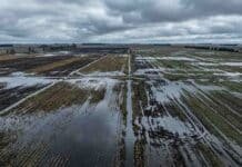 “Suelos saturados y se vienen más lluvias: el pronóstico completo para el campo del 9 al 11 de mayo”