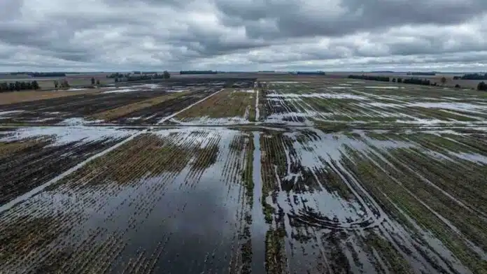 campo-anegado-surcos-inundados-exceso-hidrico-pampa-ruralnet