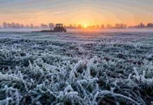 Otro fin de semana con heladas en el campo: dónde pega más fuerte y cuándo llega el alivio