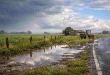 Se viene El Niño: oportunidades y riesgos para el campo argentino en 2026/27 Campo argentino con suelo húmedo y charcos tras una tormenta, con nubes oscuras y claros de sol, reflejando el fenómeno El Niño