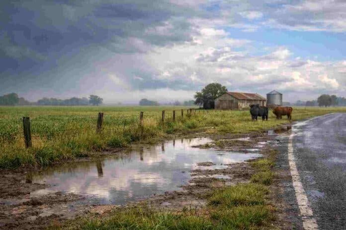 campo_post_tormenta_el_nino Campo argentino con suelo húmedo y charcos tras una tormenta, con nubes oscuras y claros de sol, reflejando el fenómeno El Niño