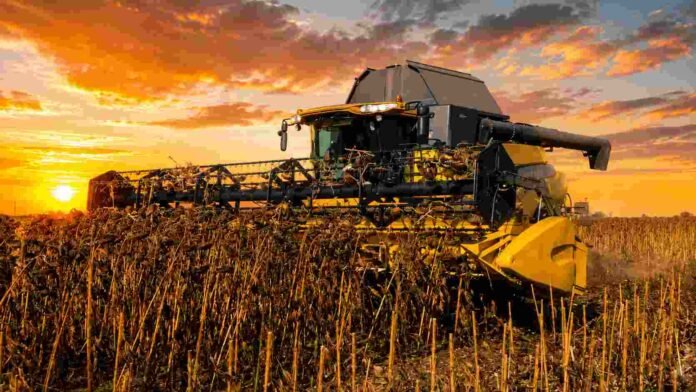 Cosechadora trabajando en un lote de girasol durante un amanecer intenso en un campo argentino, con cielo anaranjado y ambiente de plena cosecha agrícola