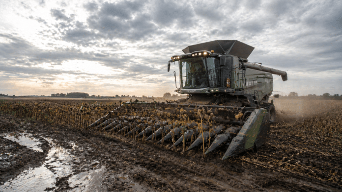 Cosechadora Fendt con orugas y cabezal girasolero trabajando en un lote de girasol con barro y charcos en la zona núcleo argentina bajo cielo nublado.