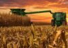 Exportaciones récord y debate por biocombustibles: el Congreso Maizar 2026 llega en un momento clave para el maíz argentino Cosechadora y tractor trabajando en un lote de maíz durante el atardecer, con cielo anaranjado y rastrojo en primer plano