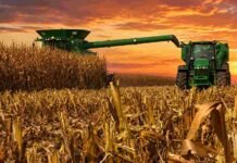 Exportaciones récord y debate por biocombustibles: el Congreso Maizar 2026 llega en un momento clave para el maíz argentino Cosechadora y tractor trabajando en un lote de maíz durante el atardecer, con cielo anaranjado y rastrojo en primer plano