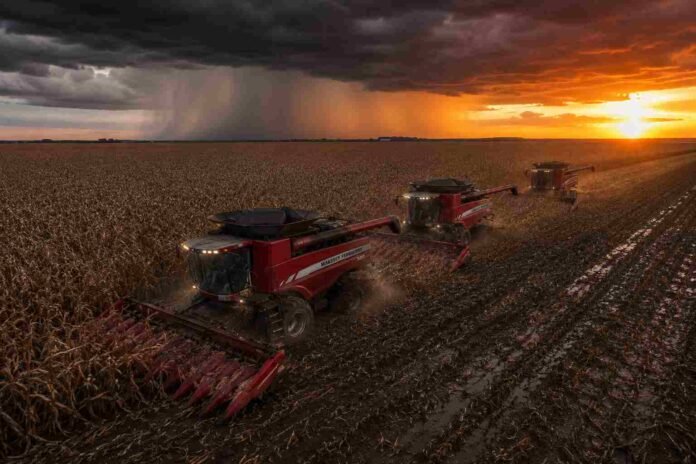 Tres cosechadoras Massey Ferguson cosechando maíz en formación tándem durante un atardecer tormentoso en un lote con suelo mojado y barro en la región pampeana argentina