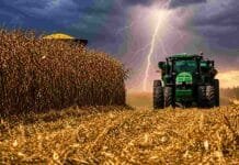 Santa Fe logra la mayor cosecha de maíz de los últimos 6 años y exportará más de 500.000 toneladas Tractor trabajando en un lote de maíz bajo un cielo de tormenta con relámpagos durante la cosecha en un campo argentino