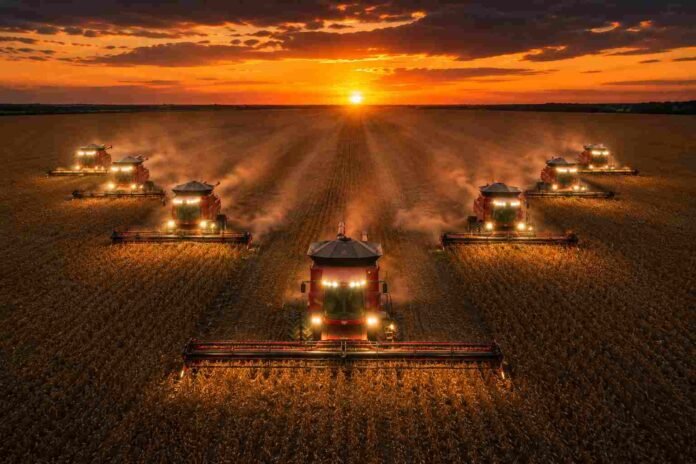Vista aérea de ocho cosechadoras Massey Ferguson cosechando soja en Brasil al atardecer, avanzando en formación en V con las luces encendidas sobre un enorme lote agrícola bajo un cielo naranja intenso.