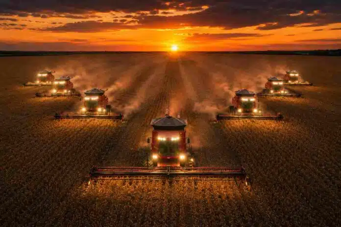 cosecha-soja-brasil-cosechadoras-massey-ferguson-atardecer-ruralnet Vista aérea de ocho cosechadoras Massey Ferguson cosechando soja en Brasil al atardecer, avanzando en formación en V con las luces encendidas sobre un enorme lote agrícola bajo un cielo naranja intenso.