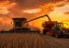 Tiempo estable pero seco: por qué la próxima semana no trae alivio hídrico para el campo Cosechadora Challenger cosechando soja en estado R7 al atardecer, descargando granos en una tolva Cestari tirada por un tractor Fendt sobre suelo seco y polvoriento.