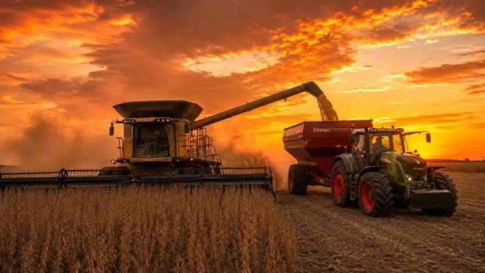 cosecha-soja-challenger-fendt-tolva-cestari-ocaso-ruralnet Cosechadora Challenger cosechando soja en estado R7 al atardecer, descargando granos en una tolva Cestari tirada por un tractor Fendt sobre suelo seco y polvoriento.