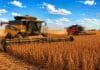 La soja en Santa Fe cerró una campaña récord con más de 4,1 millones de toneladas Cosechadoras Challenger y Massey Ferguson trabajan en un amplio lote de soja en estado R7 en la zona núcleo, bajo cielo despejado con nubes blancas.