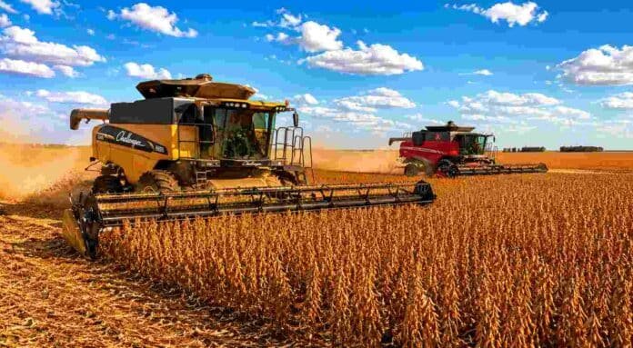 Cosechadoras Challenger y Massey Ferguson trabajan en un amplio lote de soja en estado R7 en la zona núcleo, bajo cielo despejado con nubes blancas.