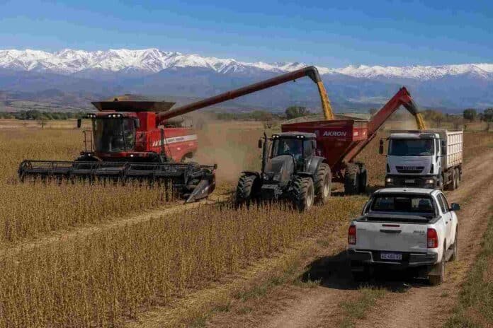 cosecha-soja-cordoba-sierras-nevadas-massey-ferguson-ruralnet Cosecha de soja en Córdoba con una cosechadora Massey Ferguson trabajando frente a sierras nevadas, mientras un tractor Valtra con tolva Akron descarga soja en un camión cerealero y una pickup Hilux blanca permanece al costado del lote.