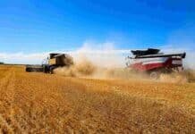 La cosecha de soja avanzó fuerte en Santa Fe y ya alcanza el 85% del área sembrada Dos cosechadoras trabajando en plena cosecha de soja en un campo argentino, levantando una gran nube de polvo bajo un cielo despejado y ambiente seco de campaña agrícola