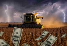 La actividad económica frenó en marzo: el ICA-ARG registró su primera caída del año Cosechadora trabajando en un campo de soja bajo un cielo de tormenta con relámpagos, con billetes de dólares en primer plano representando el impacto económico del agro en Argentina.