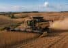 Entre Ríos: la producción de soja caería 16% pese a rindes mejores a los previstos Cosechadora Challenger trabajando en un lote de soja sobre las cuchillas onduladas de Entre Ríos, con polvo en suspensión y paisaje rural típico entrerriano al atardecer