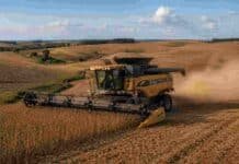 Entre Ríos: la producción de soja caería 16% pese a rindes mejores a los previstos Cosechadora Challenger trabajando en un lote de soja sobre las cuchillas onduladas de Entre Ríos, con polvo en suspensión y paisaje rural típico entrerriano al atardecer