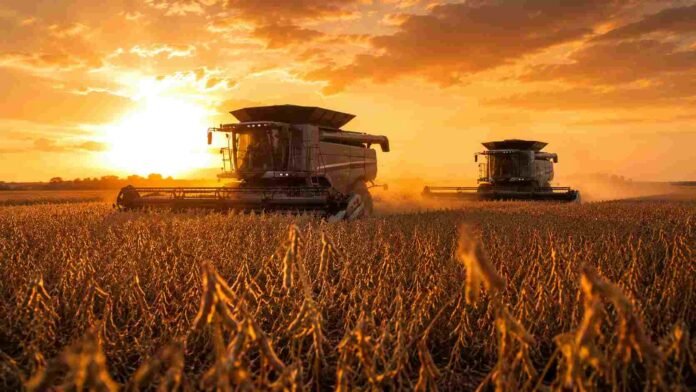 cosecha-soja-fendt-ideal-atardecer-pampa-argentina-ruralnet Dos cosechadoras Fendt IDEAL cosechan soja en estado R7 al atardecer en la pampa argentina, con luz dorada, polvo suave y vainas secas en primer plano.