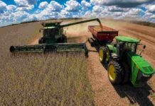 La cosecha de soja avanza con demoras en Entre Ríos y preocupa la caída de rindes Cosechadora y tractor descargando soja en una tolva durante la cosecha en un campo argentino bajo grandes nubes de tormenta y cielo parcialmente cubierto