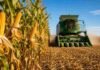 El 27 de mayo llega el 20° Congreso Maizar: cosecha récord, márgenes ajustados y el debate sin filtro sobre el maíz argentino Cosechadora trabajando en un lote de maíz con choclos maduros en campo agrícola argentino bajo cielo despejado.