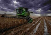 La cosecha de soja toma ritmo tras las mejoras climáticas Cosechadora trabajando en lote de soja con cielo de tormenta y suelo mojado en campo argentino, bajo condiciones climáticas adversas