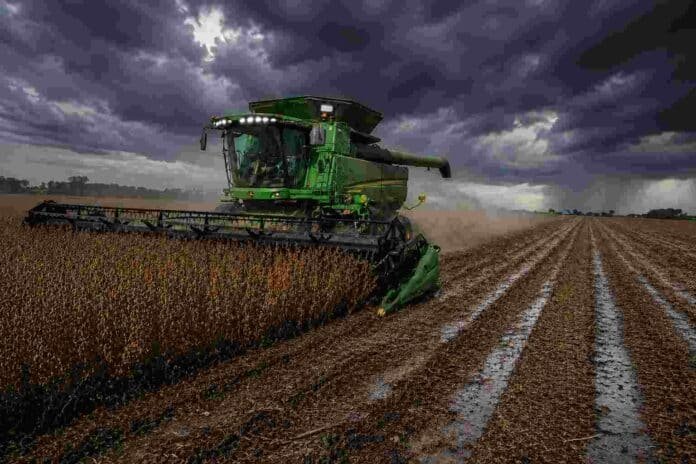 Cosechadora trabajando en lote de soja con cielo de tormenta y suelo mojado en campo argentino, bajo condiciones climáticas adversas