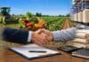 Santa Fe lanza créditos por $3.200 millones al 14% anual para productores de arroz, frutas y hortalizas Escena representativa de asistencia financiera para sectores productivos de Santa Fe con producción arrocera, horticultura, industria textil y firma de convenios.