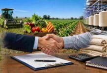 Santa Fe lanza créditos por $3.200 millones al 14% anual para productores de arroz, frutas y hortalizas Escena representativa de asistencia financiera para sectores productivos de Santa Fe con producción arrocera, horticultura, industria textil y firma de convenios.