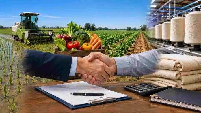 Escena representativa de asistencia financiera para sectores productivos de Santa Fe con producción arrocera, horticultura, industria textil y firma de convenios.