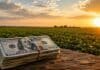 Dólar, tasas e inversiones: qué espera el mercado para el cierre de 2026 en medio de la tensión entre EE.UU. e Irán Fajo de dólares sobre una mesa de madera con un campo agrícola de fondo al atardecer, representando inversiones y negocios del agro argentino.