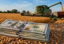 Dos proyectos en Diputados buscan eliminar las retenciones al agro en tres y cuatro años y quitarle al Ejecutivo la facultad de modificarlas por decreto Billetes de dólar sobre una mesa rural con una cosechadora trabajando en un lote de trigo durante la campaña agrícola argentina.