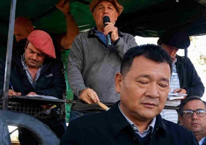 empresario Wei Productores y representantes rurales durante un remate ganadero, con un hombre hablando por micrófono y asistentes tomando nota en la tribuna.