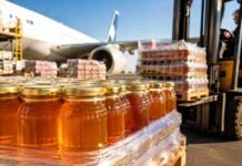 Las exportaciones de miel argentina batieron el récord de los últimos 20 años: U$S 74 millones y casi 30.000 toneladas en el primer trimestre Frascos de miel listos para exportación junto a un avión de carga y pallets logísticos en una terminal aeroportuaria.