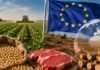 Exportar soja y carne a Europa exigirá una nueva declaración jurada contra la deforestación Producción de soja y carne vacuna en campo argentino junto a bandera de la Unión Europea, representando exportaciones y controles ambientales vinculados a la deforestación.