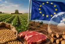 Exportar soja y carne a Europa exigirá una nueva declaración jurada contra la deforestación Producción de soja y carne vacuna en campo argentino junto a bandera de la Unión Europea, representando exportaciones y controles ambientales vinculados a la deforestación.