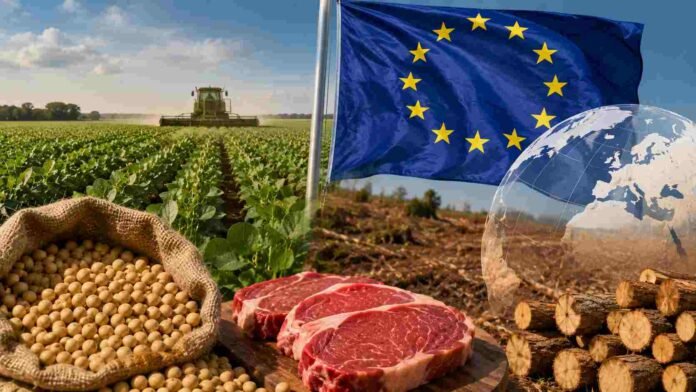 Producción de soja y carne vacuna en campo argentino junto a bandera de la Unión Europea, representando exportaciones y controles ambientales vinculados a la deforestación.