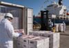 Carne bovina: las exportaciones cayeron 26,5% en abril, pero el precio rozó los U$S 7.000 por tonelada
