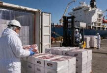 Carne bovina: las exportaciones cayeron 26,5% en abril, pero el precio rozó los U$S 7.000 por tonelada