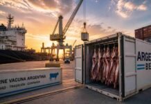 Exportaciones de carne en alza, pero con una industria condicionada por la falta de hacienda Contenedor frigorífico con carne vacuna argentina en puerto de exportación con buque de carga y grúas al fondo