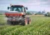 INTA Oliveros: planificar la fertilización por ambiente y rotación es la clave para sostener la productividad con costos de insumos elevados “Tractor rojo aplicando fertilizante granular sobre un cultivo verde bajo cielo parcialmente nublado, en formato 16:9.”