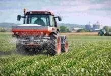 INTA Oliveros: planificar la fertilización por ambiente y rotación es la clave para sostener la productividad con costos de insumos elevados “Tractor rojo aplicando fertilizante granular sobre un cultivo verde bajo cielo parcialmente nublado, en formato 16:9.”