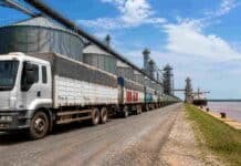 El aluvión de camiones en los puertos disparó la liquidación de divisas: en abril ingresaron 23% más dólares que en marzo Fila de camiones cargados con granos esperando descarga en puerto agroexportador argentino, con silos y barco granelero a la vera del río.