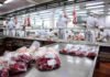 La exportación de carne bovina creció casi 54% en valor durante el primer trimestre de 2026 Planta frigorífica industrial con operarios procesando carne vacuna y cortes envasados al vacío en una línea de producción de exportación en Argentina