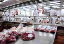 La exportación de carne bovina creció casi 54% en valor durante el primer trimestre de 2026 Planta frigorífica industrial con operarios procesando carne vacuna y cortes envasados al vacío en una línea de producción de exportación en Argentina