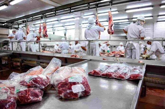 Planta frigorífica industrial con operarios procesando carne vacuna y cortes envasados al vacío en una línea de producción de exportación en Argentina