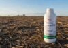 Una empresa alemana de agroquímicos con 23 años en Argentina cierra su filial: US$ 5 millones en impuestos retenidos que no puede recuperar Envase de insecticida Harvanta Pro de HELM sobre un lote en barbecho con rastrojo seco y horizonte rural en la región agrícola argentina.