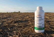 Una empresa alemana de agroquímicos con 23 años en Argentina cierra su filial: US$ 5 millones en impuestos retenidos que no puede recuperar Envase de insecticida Harvanta Pro de HELM sobre un lote en barbecho con rastrojo seco y horizonte rural en la región agrícola argentina.
